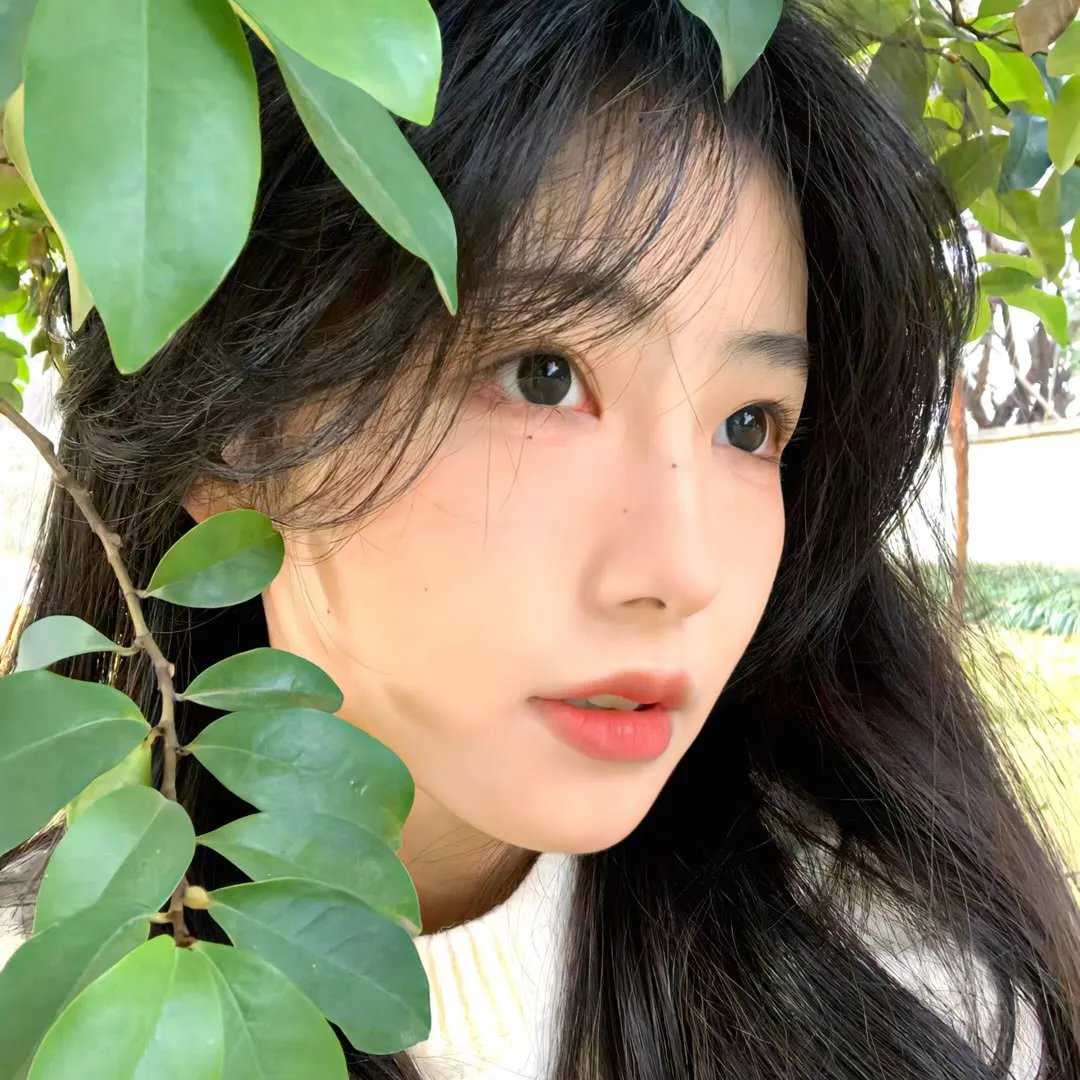 我的阿米什人双重生活